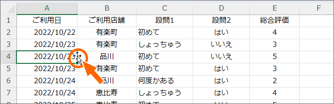 太枠の右辺をダブルクリック