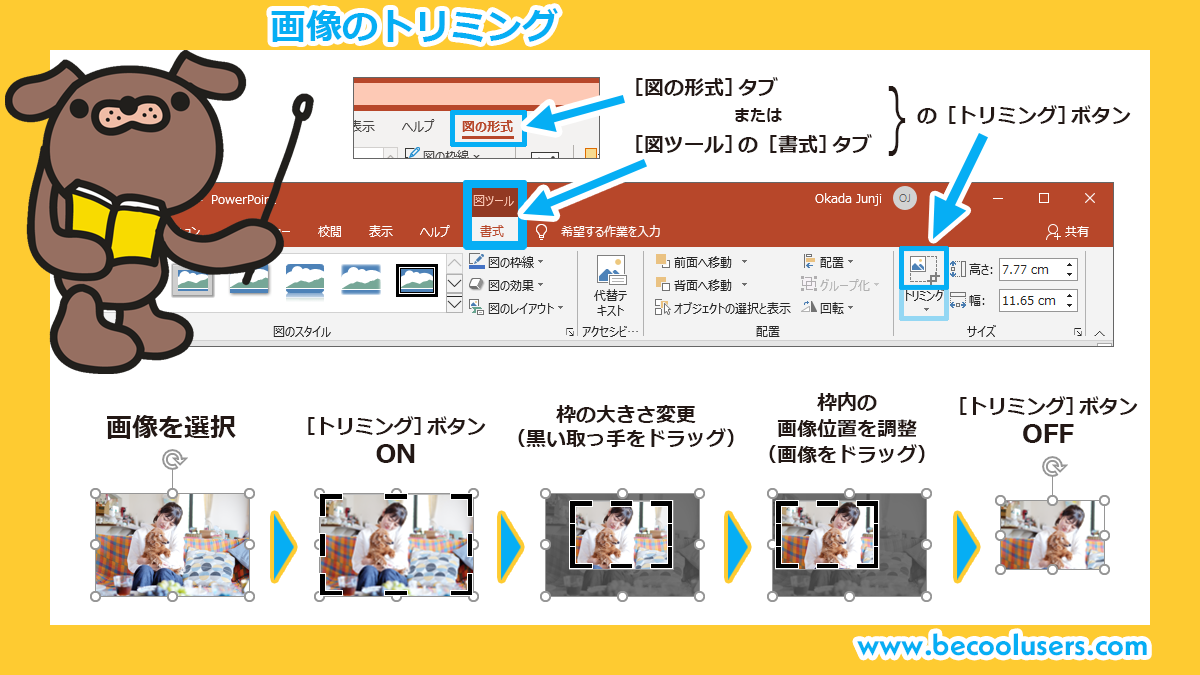 トリミングで画像を切り取り Powerpoint Excel Word共通